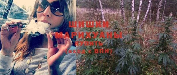 мдпв Верхний Тагил