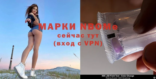 мдпв Верхний Тагил