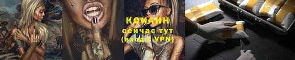 мдпв Верхний Тагил