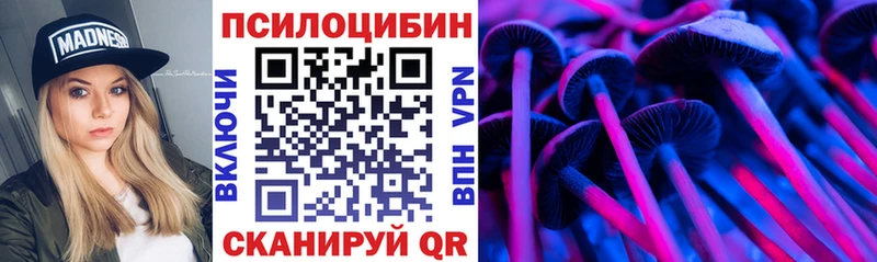 Галлюциногенные грибы Cubensis  закладки  OMG зеркало  Новоржев 